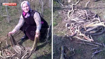 Gestul halucinant făcut de o femeie din Rusia după ce a descoperit un cuib de şerpi în timp ce planta cartofi în grădină!