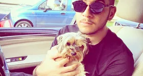 Galerie foto - poza 4