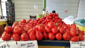 Cât costă, de fapt, la fermier un kilogram de roșii românești. În piață ajunseseră să se vândă cu 65 de lei