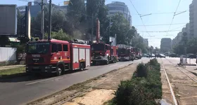 Galerie foto - poza 1