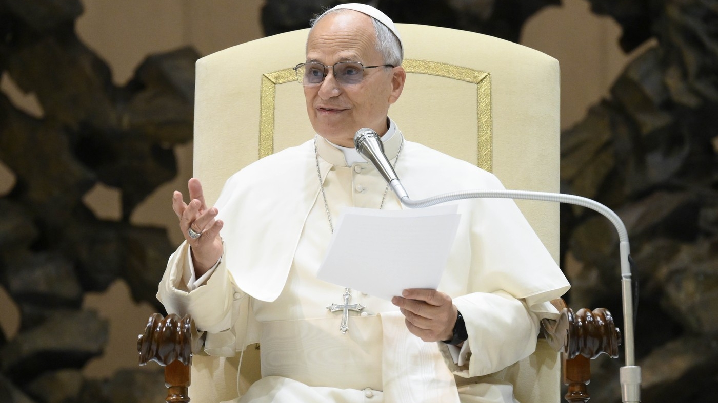 Ce face Papa Leon când nu poate să doarmă? Obiceiul lui a fost descoperit de internauți