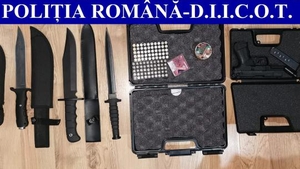 Rețea de traficanți de droguri compusă din luptători MMA, destrămată. Ce au ridicat polițiștii după percheziții