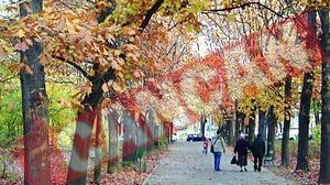 Dimineti si nopti racoroase in prima saptamana a lui septembrie