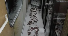 Galerie foto - poza 3