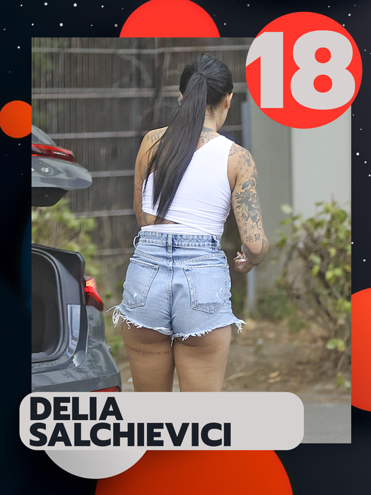 TOP 20 sexy vedete care au arătat tot! Daniela Crudu, Lidia Buble sau Andreea Bănică s-au încurcat în…pantalonașii buclucași!