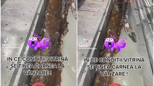 Scene oripilante în vitrina cu carne a unui magazin alimentar! Ce au descoperit inspectorii ANPC
