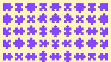 Test de inteligență | Care bucată de puzzle nu se potrivește? Este una singură