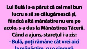 BANC | "Bulă, poți rămâne cât vrei aici la mănăstire, cu o singură condiție" TEXT