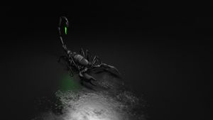 Horoscop săptămânal 1-7 octombrie 2018. Scorpionii trec printr-o criză de personalitate