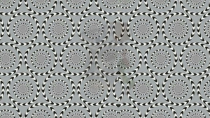 Test de inteligență | Ești un mega-geniu dacă poți numi animalul ascuns în această iluzie optică, în maximum 25 de secunde