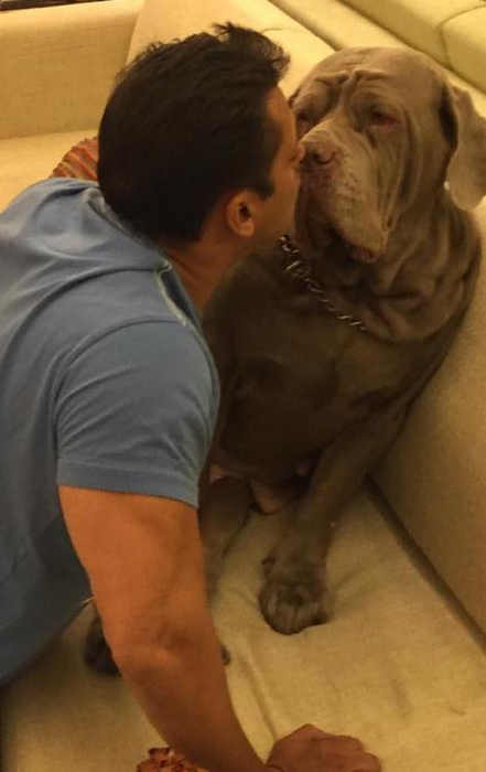 Familia lui Salman Khan e în doliu. Actorul și Iulia Vântur sunt îngenuncheați de durere. “Ne-ai învățat ce este dragostea, iubirea mea”
