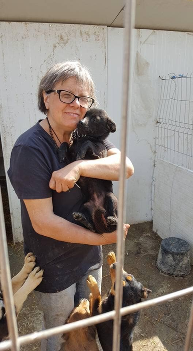 Ea este salvatoarea sutelor de câini din „Dumbrava Minunată”. „Cine nu iubește animalele, nu iubește nici oamenii”