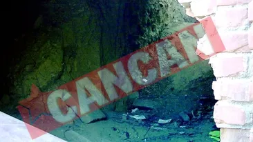 Un milion de euro pentru orasul de sub Braila