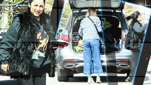 Andra a ”rupt” magazinele! A umplut un portbagaj la shopping…