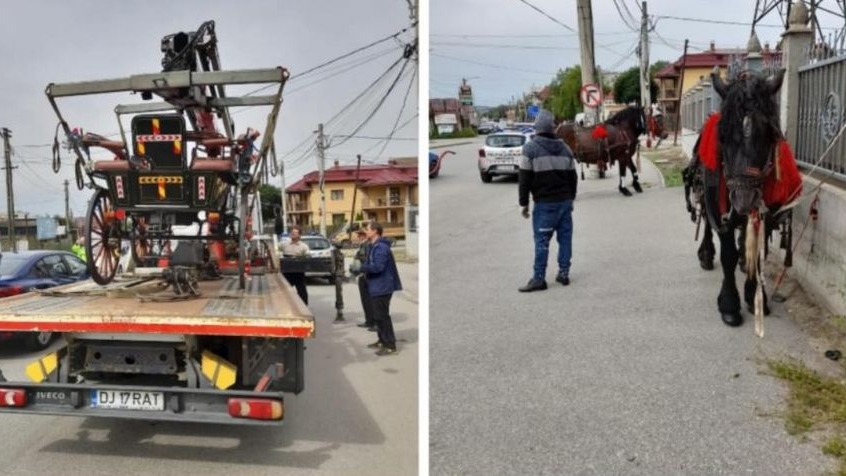 Nuntă stricată în Craiova după ce trăsurile mirilor au fost ridicate de polițiști