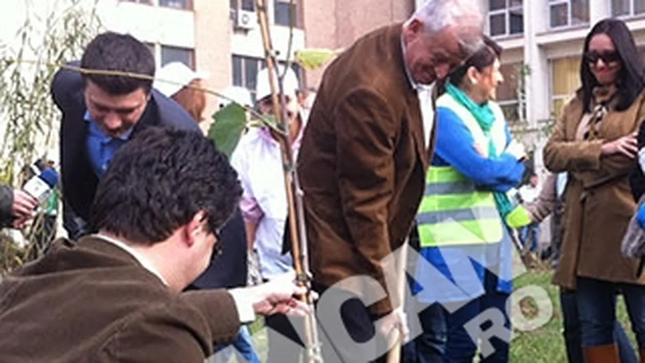 VIDEO Capitala s-a inverzit! 1.500 de arbori au fost plantati la Politehnica!