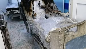 Mărturisiri tulburătoare ale fiicei unei paciente moarte în incendiu: ”Am lăsat-o vie, am găsit-o arsă!”