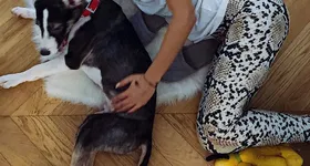 Galerie foto - poza 1