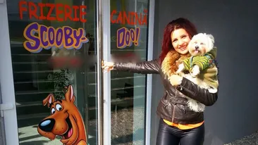 A lasat volanul pentru un salon de lux pentru catei!