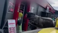 Incident neașteptat într-un supermarket din Suceava. Un cal a intrat cu tot cu căruță pe ușa magazinului