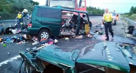 Galerie foto - poza 2