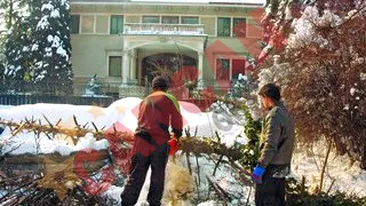 Masacru la fosta casa a lui Ceausescu