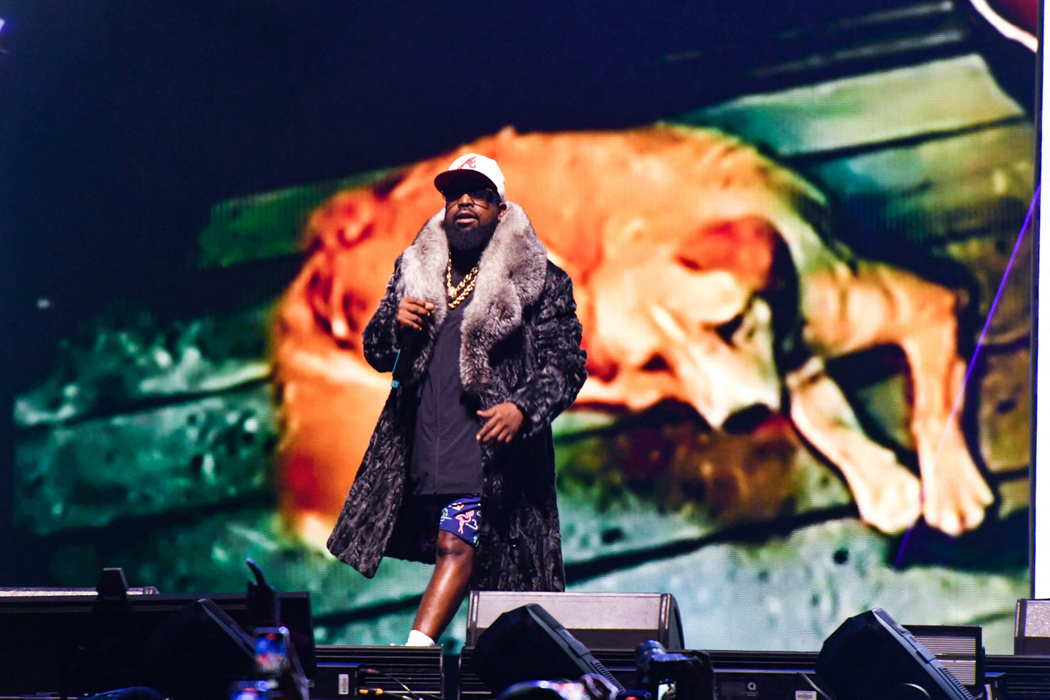 Rapper-ul american Big Boi s-a născut în1975, în Savannah (Foto: profimediaimages.ro)