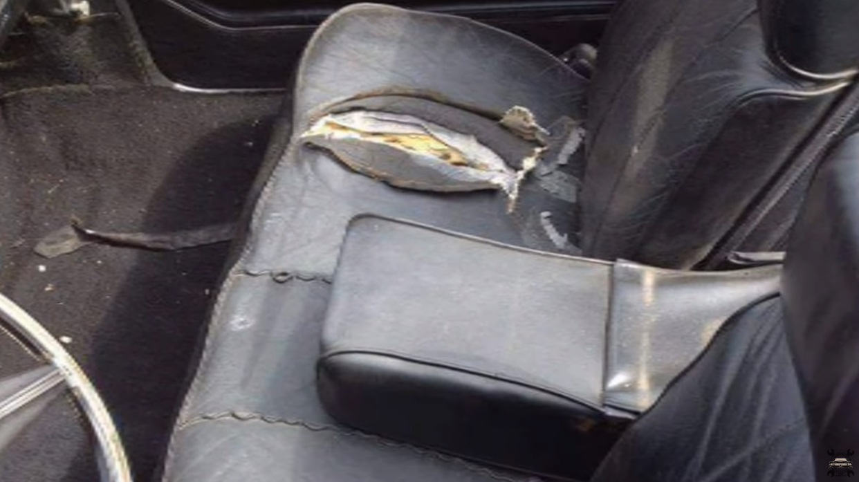 Celebrul Cadillac din “Nea Mărin Miliardar”, în paragină! Cum a ajuns să arate