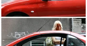 Galerie foto - poza 1