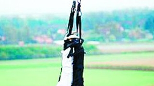 Au facut bungee jumping la nunta
