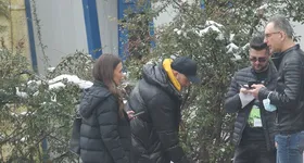 Galerie foto - poza 2