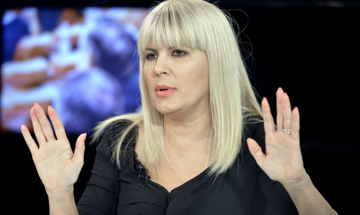 Elena Udrea, fotografie de senzație la început de an: ”Să aveți credință!”