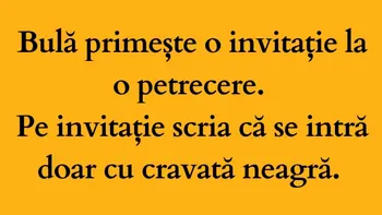 BANC | Bulă primește o invitație la o petrecere