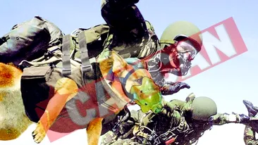 Lectii de parasutism pentru cainii soldatilor