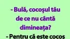 BANC | De ce nu cântă cocoșul lui Bulă, de fapt