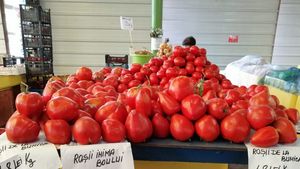 Incredibil! Cât a ajuns să coste un kilogram de rosii în piețele din România!