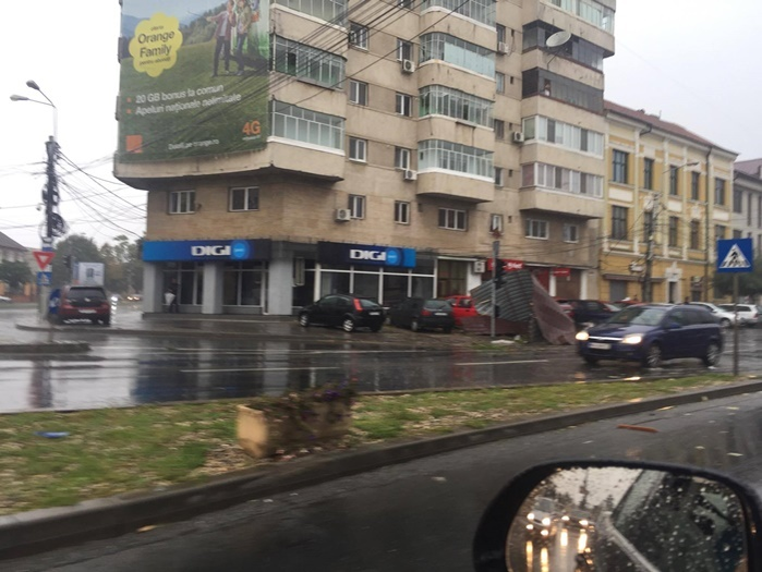 Furtună violentă la Timişoara. Vântul a smuls copaci şi a dărâmat panouri publicitare. Cinci oameni au murit!