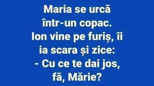 BANC | Maria se urcă într-un copac. Ion vine pe furiș și ia scara: "Cu ce te dai jos?"
