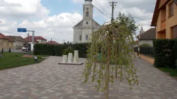  Satul din România în care şcoala are lift şi dotări de ultimă generaţie
