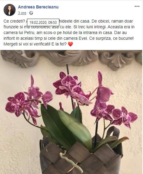 Andreea Berecleanu, primele reacții după ce s-a aflat că pleacă de la pupitrul știrilor de la Antena 1. Ce mesaje a transmis