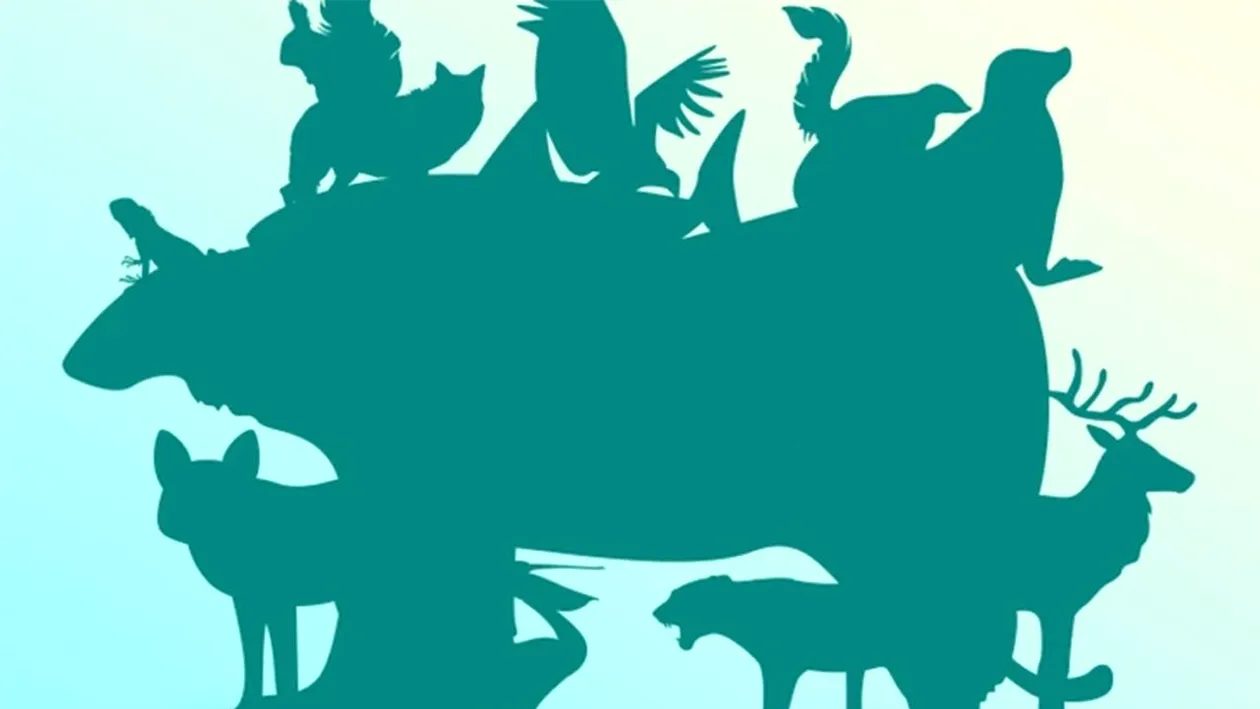 Iluzie optică virală | Câte animale sunt, de fapt, în această imagine? Dacă răspunzi corect, ești un geniu