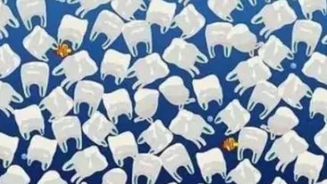 Iluzia optică a zilei | O meduză este ascunsă în această imagine. Tu reuşeşti să o găseşti?