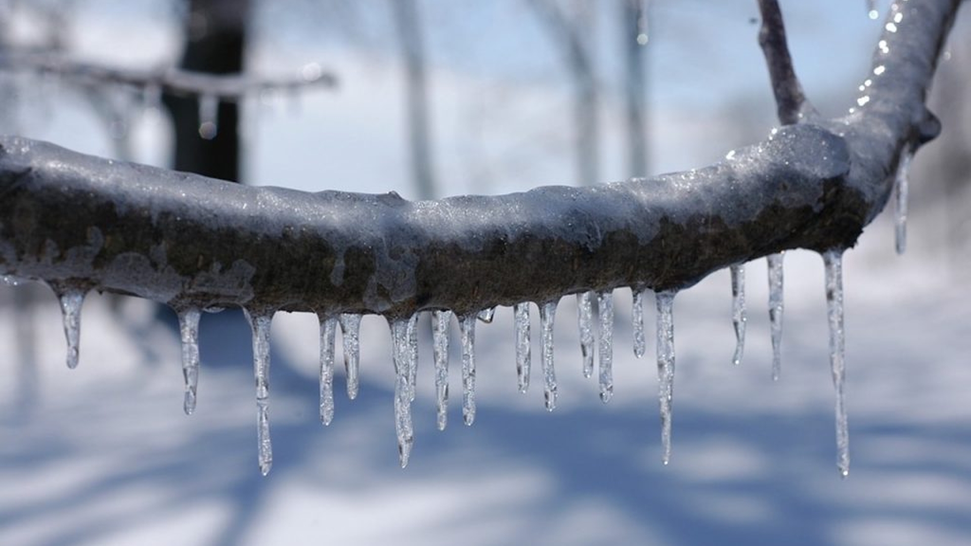Meteorologii au emis atenționări nowcasting! În ce zone e cod galben de vreme capricioasă