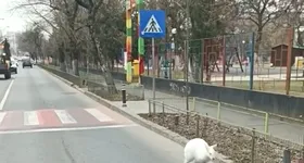 Galerie foto - poza 3