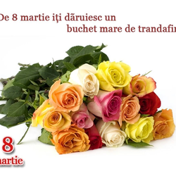 Imagine Galerie #2