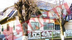 Motii au o soparla de aur de 2.700.000 Euro