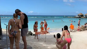 EXCLUSIV. Dan Barna, vacanță de vis în Aruba! Avem imaginile de pe insula privată