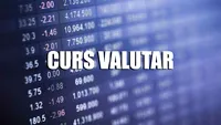 Curs valutar 8 februarie 2019. Cat a ajuns sa coste vineri 1 EURO si 1 DOLAR