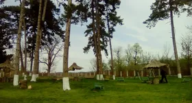 Galerie foto - poza 3