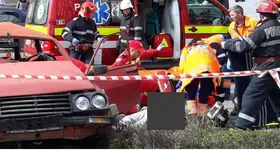 Galerie foto - poza 4